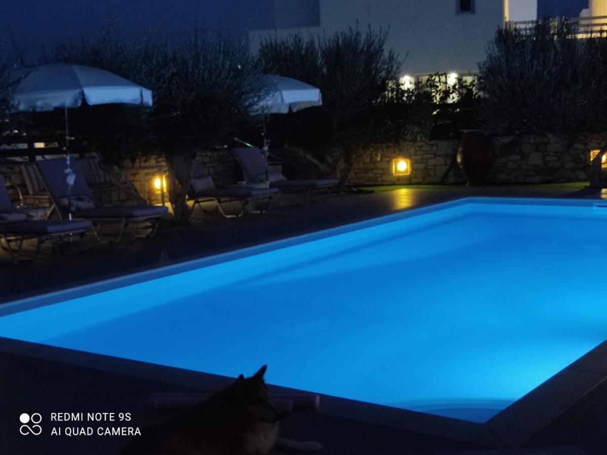 Sunset Studios And Apartments For Adults Over 21 Only Náousa Eksteriør bilde